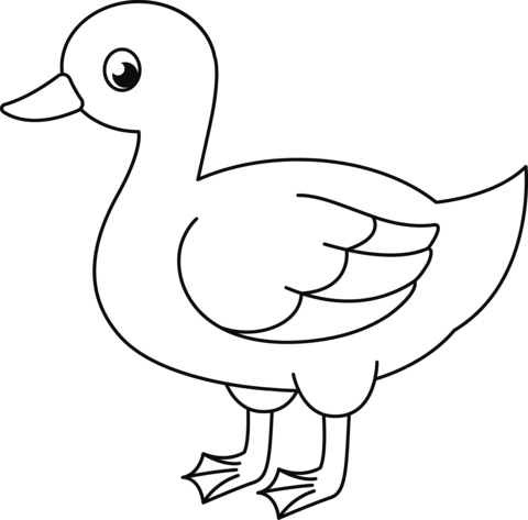 Cute Duck Coloring Page